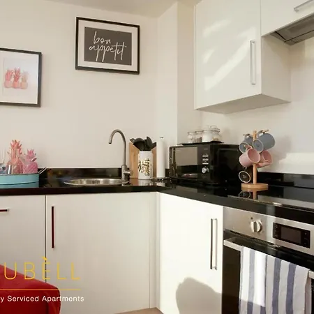 Best Value !!! - The Chad, Dubell Serviced Leeds, Up To 4 Guests , Free Parking, Wifi & Netflix Leeds (West Yorkshire)